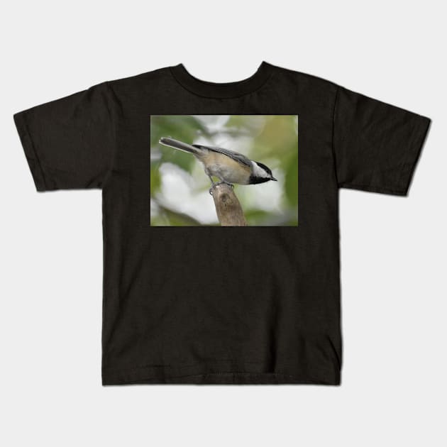 Carolina Chickadee Kids T-Shirt by ToniaDelozier